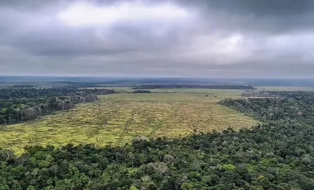 Combate ao desmatamento na Amazônia receberá R$ 730 milhões